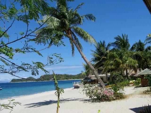 El Canonero Diving Beach Resort Puerto Galera Bagian luar foto